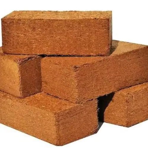 Cocopeat Block