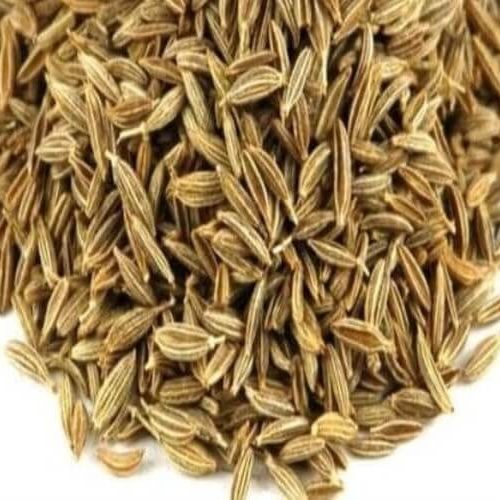 Cumin seed