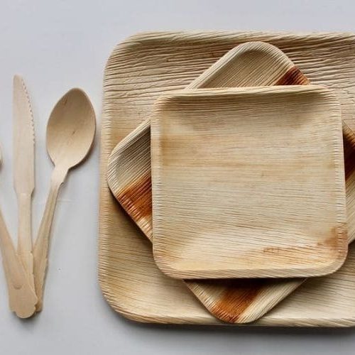 Areca Palm Leaf Cutlery