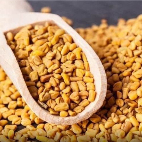 Fenugreek