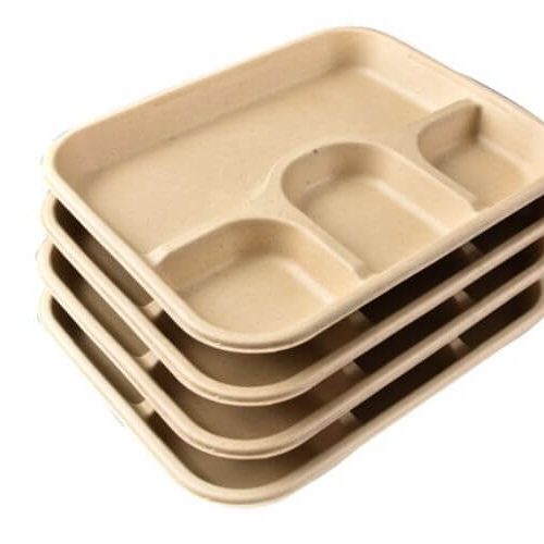 Sugarcane Bagasse  4 Compartment  Plate