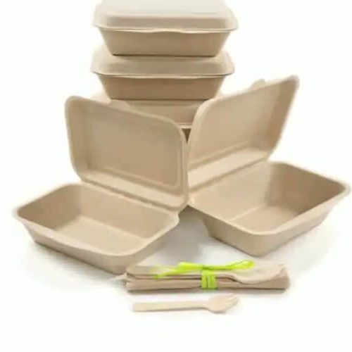 Take away Containers Type 1